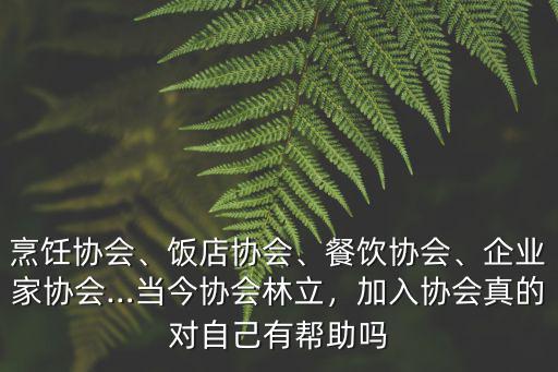 聊城女企業家協會會費多少,企業家協會…當今協會林立