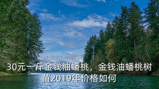 30元一斤金錢油蟠桃，金錢油蟠桃樹苗2019年價格如何