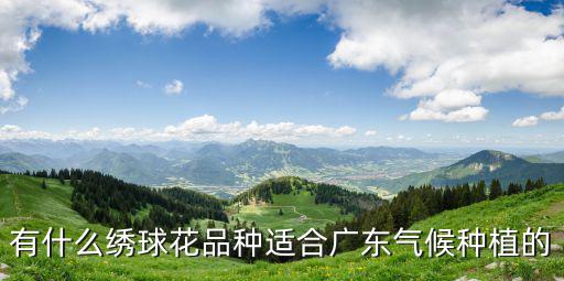 有什么繡球花品種適合廣東氣候種植的