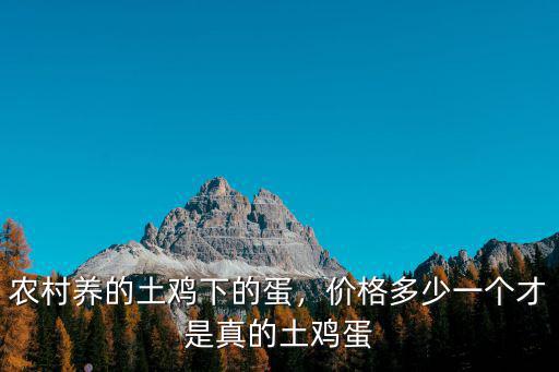 農(nóng)村養(yǎng)的土雞下的蛋，價格多少一個才是真的土雞蛋