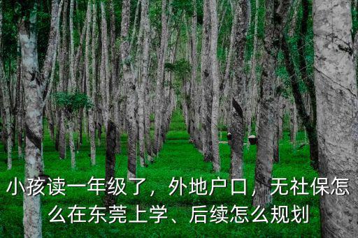 小孩讀一年級了，外地戶口，無社保怎么在東莞上學(xué)、后續(xù)怎么規(guī)劃