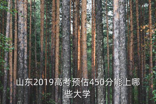 山東2019高考預估450分能上哪些大學