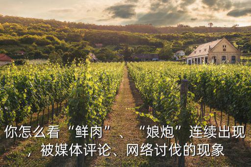 你怎么看“鮮肉”、“娘炮”連續出現，被媒體評論、網絡討伐的現象