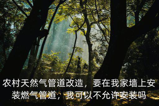 濟南安天然氣管道要多少戶同意,農村天然氣管道改造