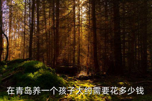 在青島養一個孩子大約需要花多少錢