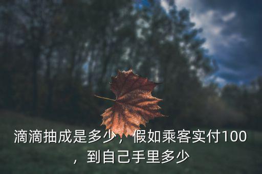 淄博的滴滴打車抽成是多少,滴滴抽成是多少