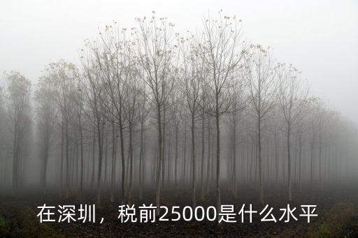 在深圳月薪兩萬稅后是多少,深圳月薪6萬