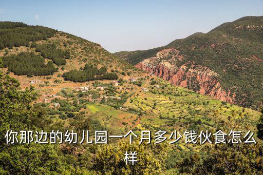 南京幼兒園一個(gè)月收費(fèi)多少,南京擬認(rèn)定19所惠民幼兒園