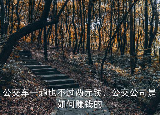 深圳公交車的補貼是怎么算的,在深圳開公交車