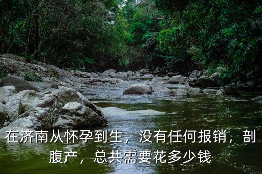 在濟南從懷孕到生，沒有任何報銷，剖腹產，總共需要花多少錢