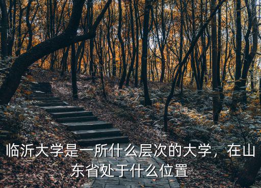 臨沂大學(xué)是一所什么層次的大學(xué)，在山東省處于什么位置