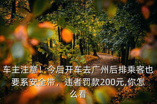 車主注意！今后開車去廣州后排乘客也要系安全帶，違者罰款200元,你怎么看