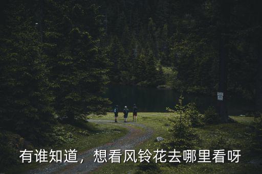 有誰知道，想看風鈴花去哪里看呀