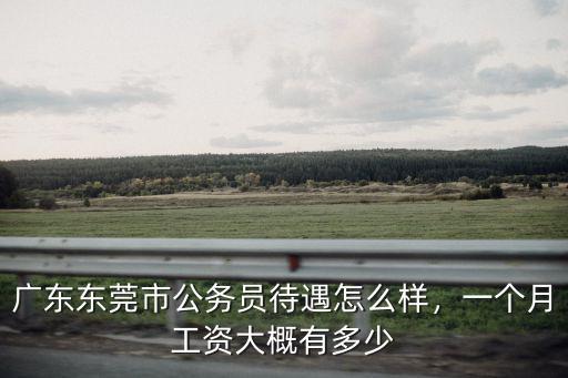 廣東東莞市公務員待遇怎么樣，一個月工資大概有多少