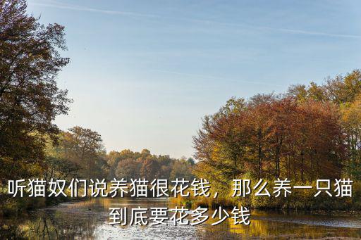 深圳市貓咪閹割要多少錢,在深圳貓咪絕育手術(shù)多少錢