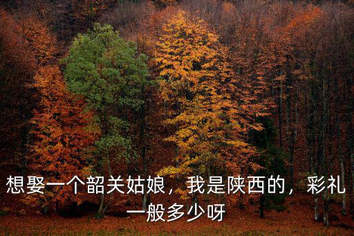 想娶一個韶關姑娘，我是陜西的，彩禮一般多少呀
