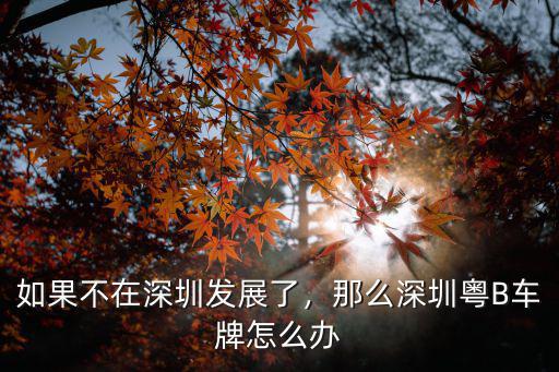 想買沒有深圳車牌怎么辦,外地人剛到深圳