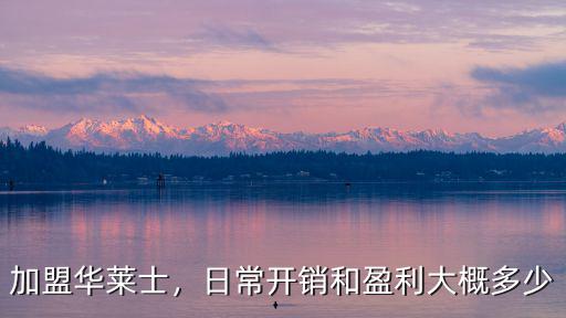 華萊士在廣州湯塘加盟要多少錢,怎么加盟華萊士多少錢