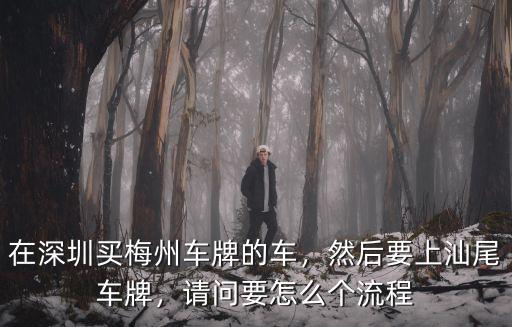 深圳梅州車牌號怎么申請,在深圳買梅州車牌的車