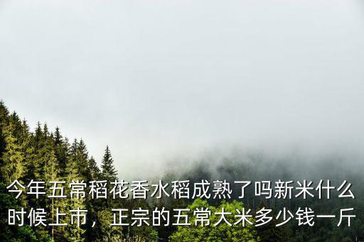 今年五常稻花香水稻成熟了嗎新米什么時(shí)候上市，正宗的五常大米多少錢一斤