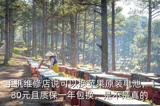 手機(jī)維修店說可以換蘋果原裝電池，180元且質(zhì)保一年包換，是不是真的