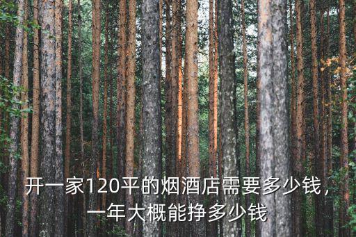 開一家120平的煙酒店需要多少錢，一年大概能掙多少錢