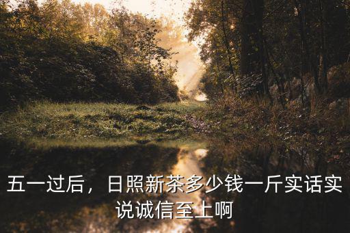 明晨晴日照綠茶多少錢一斤,日照新茶多少錢一斤