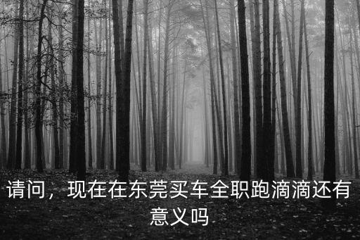 東莞跑滴滴怎么掙錢,在東莞跑滴滴發(fā)展前景咋樣