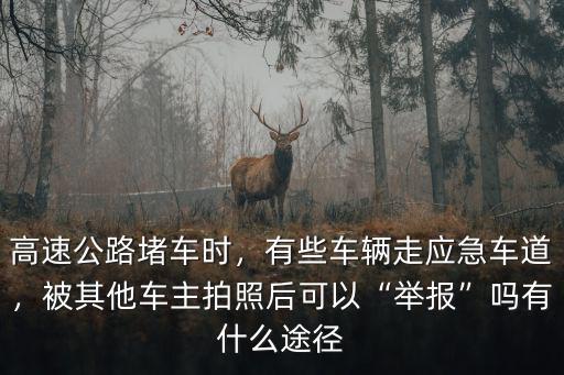 深圳怎么舉報走應急車道,有些車輛走應急車道