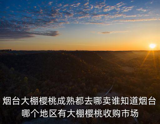 煙臺大櫻桃在廣東賣多少錢,煙臺大棚櫻桃成熟都去哪賣