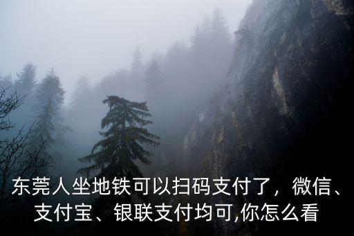 東莞搭地鐵怎么支付,東莞人坐地鐵可以掃碼支付了