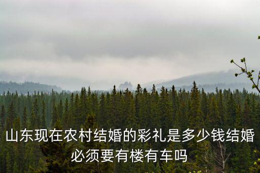 山東的結婚彩禮多少錢,在山東淄博農村