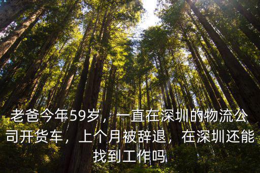 深圳天天貨運物流電話是多少,一直在深圳的物流公司開貨車