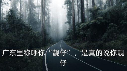 廣東話靚仔靚仔怎么發音,廣東里稱呼你靚仔