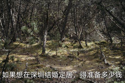 深圳跨國婚戀多少錢,得準備多少錢
