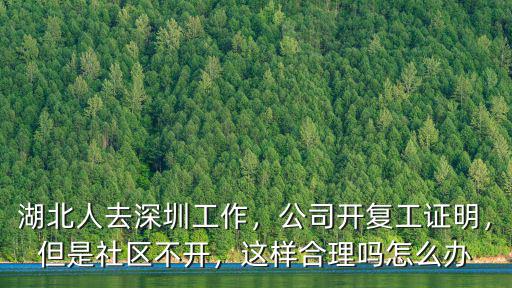 湖北人怎么出去深圳復工,湖北人去深圳工作