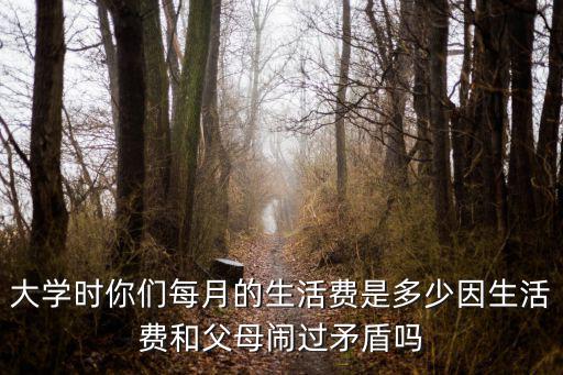 常州大學(xué)生生活費(fèi)一般多少,因生活費(fèi)和父母鬧過矛盾嗎