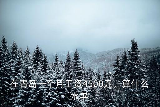 在青島一個月工資4500元，算什么水平