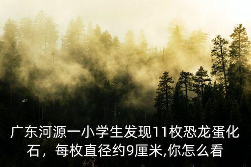 廣東河源一小學生發現11枚恐龍蛋化石，每枚直徑約9厘米,你怎么看
