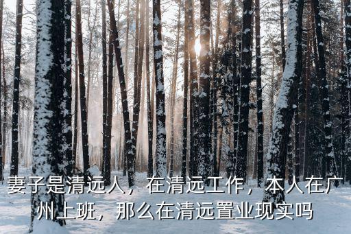 清遠人收入怎么買房,妻子是清遠人
