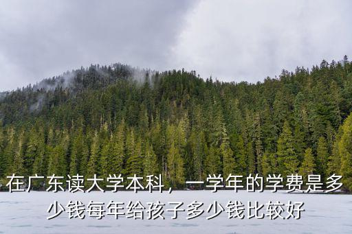在廣東讀大學本科，一學年的學費是多少錢每年給孩子多少錢比較好
