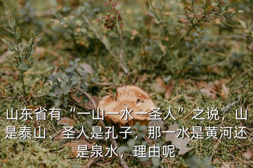 山東省有多少圣人,山東有一山一水一圣人之說