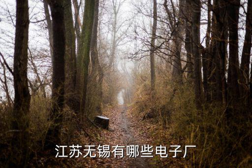 無錫江陰嘉業電子廠電話是多少,為什么江蘇無錫電子廠那么多