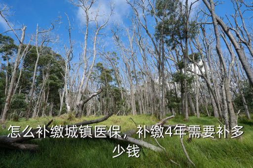 肇慶補交醫保怎么補,怎么補繳城鎮醫保