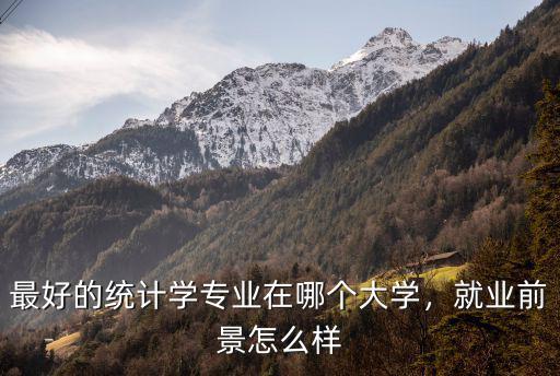 汕頭大學統計學專業怎么樣,最好的統計學專業在哪個大學