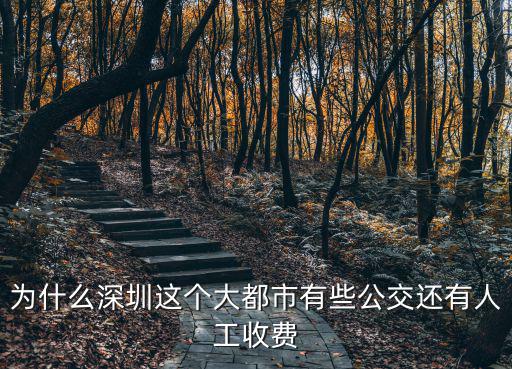 深圳公交都是怎么收費,深圳公交分段收費