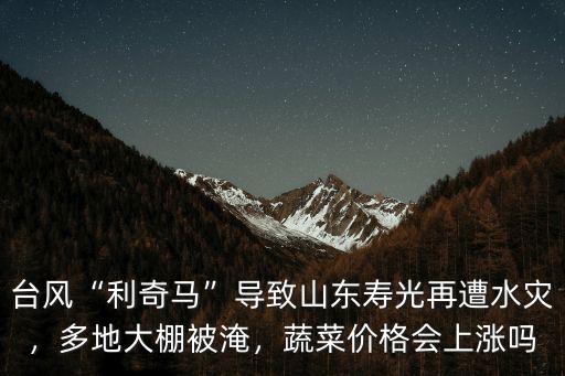 山東壽光蔬菜大棚一天多少錢(qián),山東壽光種大棚很掙錢(qián)了