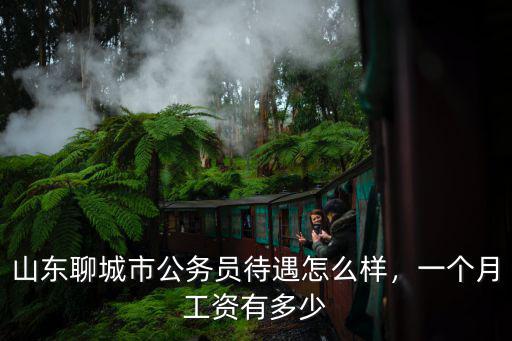 山東聊城市公務員待遇怎么樣，一個月工資有多少