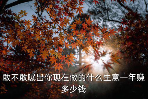 敢不敢曝出你現在做的什么生意一年賺多少錢