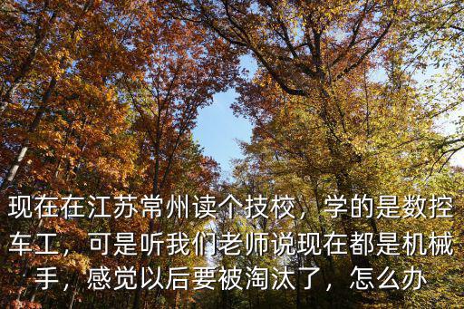 江蘇戴南數(shù)控車(chē)工工資多少,關(guān)于數(shù)控車(chē)床的工作工資多少